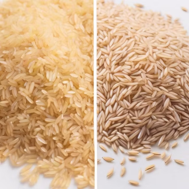 Medium Grain Rice vs Long Grain Rice