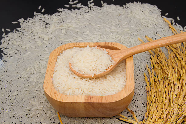 uncooked jasmine rice on wooden spoon with paddy rice